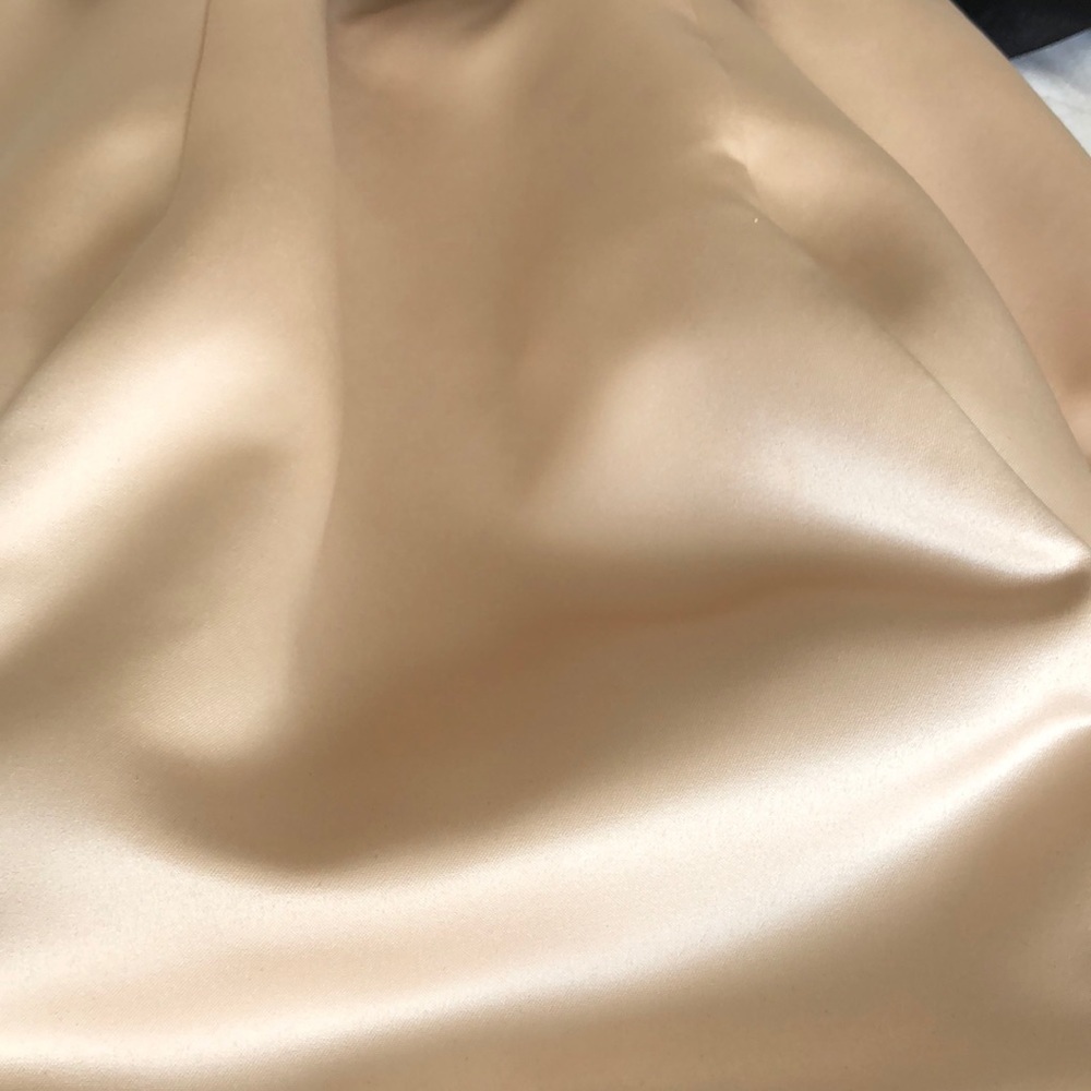 Champagne and Black Formal Dress - Picture 7 of 7